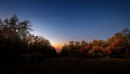 Fototapeta na wymiar Dawn in the autumn forest