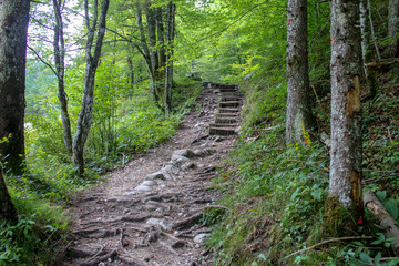 Beautiful Mostnica river surrounded with forest - national park Triglav in Slovenia.