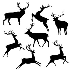 Naklejka premium Set of deers vector silhouette