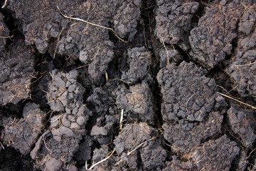 Burnt ground