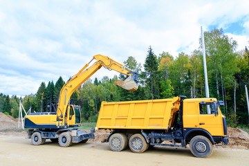 Fototapeta premium The wheel excavator loads the earth with a bucket to the body of a multi-ton dump truck on the construction site