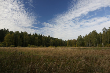 Fototapeta na wymiar Moscow region. National park.