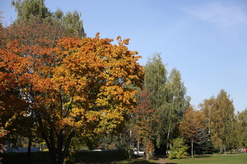 Autumn. Beauty of nature