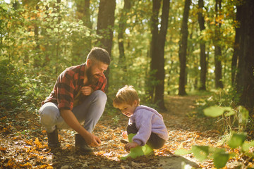 Father and child son in autumn park having fun and laughing. Cute little boy with his father during stroll in the forest.