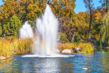 Fototapeta na wymiar Fountain on the lake in the landscape park Mezhigirya near Kiev, Ukraine