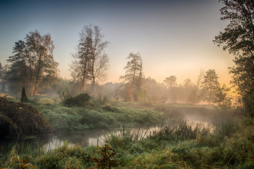 Fototapeta premium Rzeka Grabia w centralnej Polsce zaraz po wschodzie słońca otulona poranna mgłą