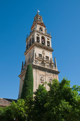 Fototapeta na wymiar Glockenturm, Mezquita-Catedral, Córdoba, Andalusien, Spanien