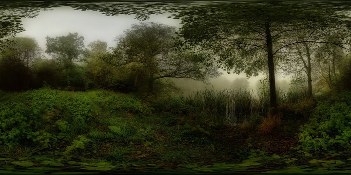 In The Mysterious Forest, Koge, Denmark