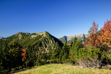 Blick zum Hohen Ziegspitz