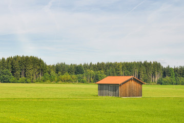 Obraz premium lonely standing agricultural shed on farmer's field