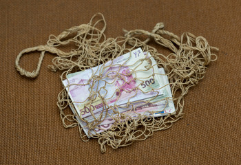 five hundred euros on a background mesh bag
