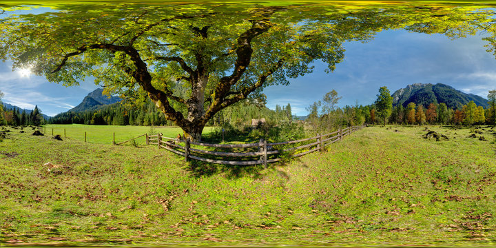 The Sycamore From Klausbachtal, Ramsau, Germany