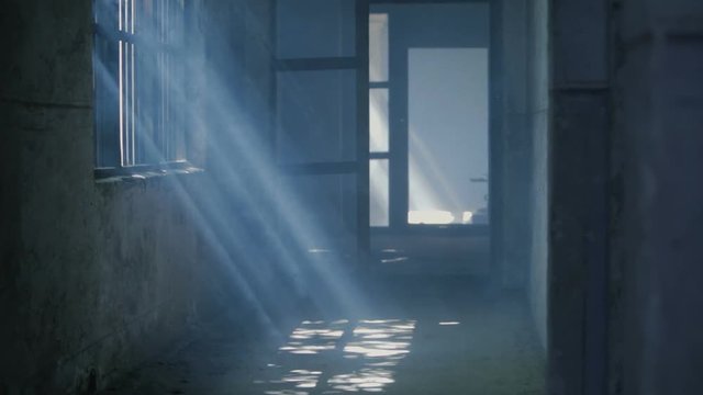 Rays of light shining into the old cellar. Long Shot