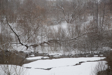 Snowfall in the city. Snow-covered pond with ducks in the city Park.