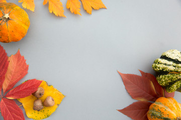 Naklejka na ściany i meble Autumn composition. Pumpkins, leaves on pastel gray background. Autumn, fall, halloween concept. Flat lay, top view, copy space