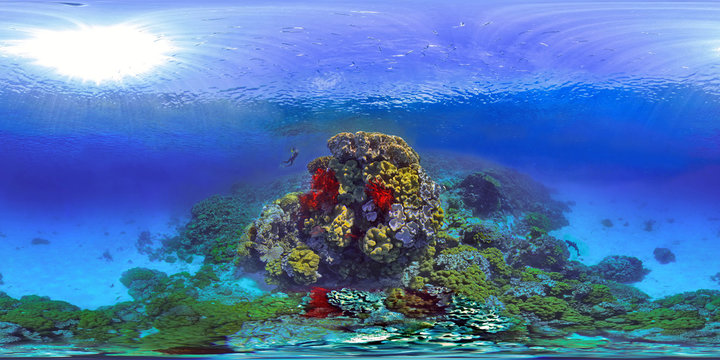 Red And Yellow Octocorals At Ilot Kouare, New Caledonia