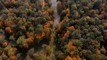 drone flight over autumn forest