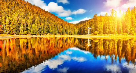 Autumn forest lake reflection landscape. Forest lake trees in autumn season panorama