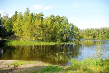 Obraz premium lake in the forest