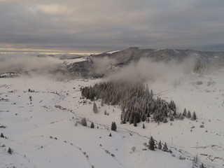 aerial view of fresh snow covered winter forest in high mountains in sunset on christmas eve