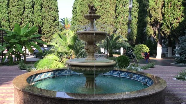 Square with a fountain and perennial tuya