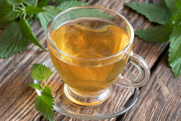 A cup of nettle tea with fresh stinging nettles