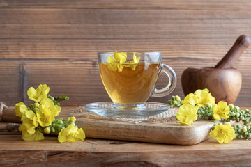 A cup of mullein tea with fresh blooming mullein