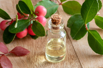 A bottle of wintergreen essential oil with fresh wintergreen