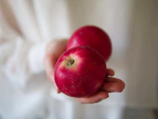 A hand holding two red apples
