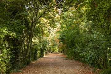 Obraz premium Garden of the prince in Aranjuez in the vicinity of the royal palace.