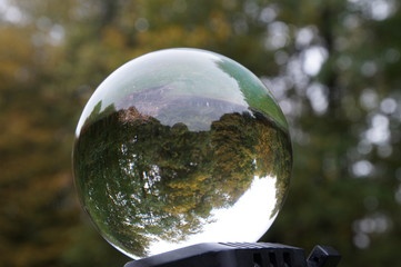 Wald