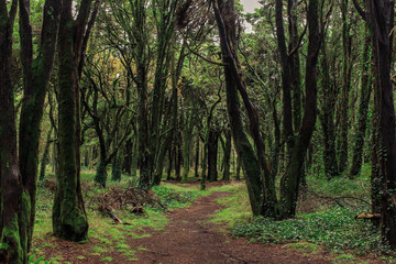 Sintra