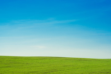 Naklejka premium landscape blue sky and green field