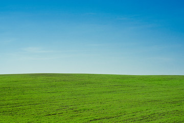 landscape blue sky and green field