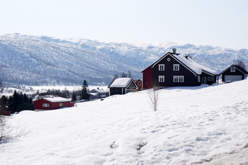 Fields covered with snow in spring