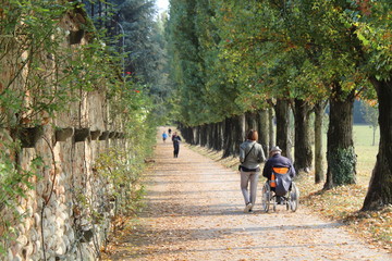 Accompagnatrice con disabile nel parco