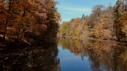 drone shot above water surface in autumn forest