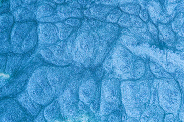 paint shiny metallic blue, veined effect. abstract background blue