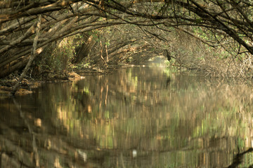estero el chupadero