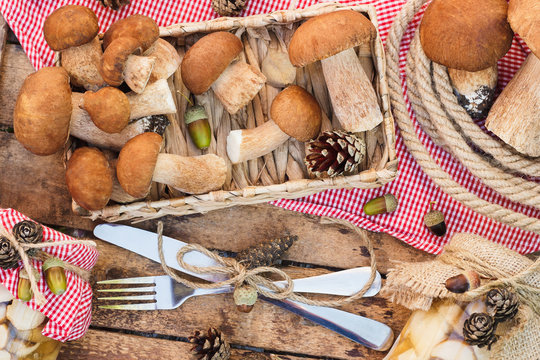 Raw white mushrooms, pine cones with dry decorations on the wooden table