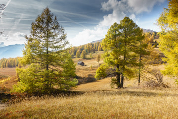 Fototapeta premium Herbstlandschaft in Tirol Österreich