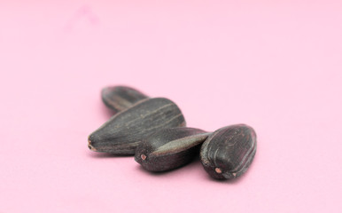 sunflower seeds