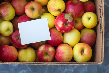 Red and yellow apples in a box and a card for the text