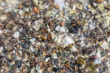 colorful rolling stones sea bottom pattern musk seaweed