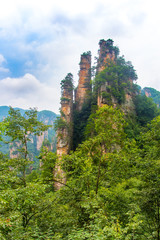Fototapeta premium Sandstone mountains viewed from the trail from the 10 Mile Natural Gallery to Tianzi Mountain. Wulingyuan Scenic Area, Zhangjiajie, Hunan, China.