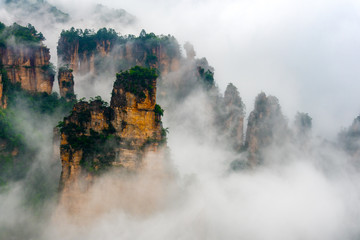 Early morning mist in the Tianzi Mountain Natural Reserve near Xiangyuan Inn, Helong Park. Wulingyuan, Zhangjiajie, Hunan, China.