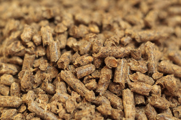 Fuel wood pellet close-up. A source of alternative clean energy. A lot of pellet. Natural fuel and energy of future.