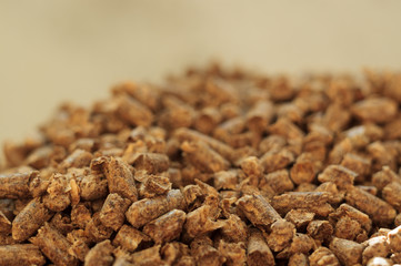 Fuel wood pellet close-up. A source of alternative clean energy. A lot of pellet. Natural fuel and energy of future.
