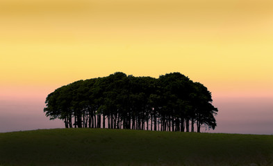 Cookworthy Knapp is a copse near the A30 trunk road in Lifton Devon. A few miles from the Cornish border, it is well known to returning Cornish people as confirmation that they are nearly home