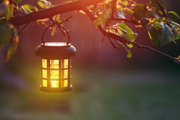 Burning lantern hanging from a tree branch in the sunset © Alaskajade